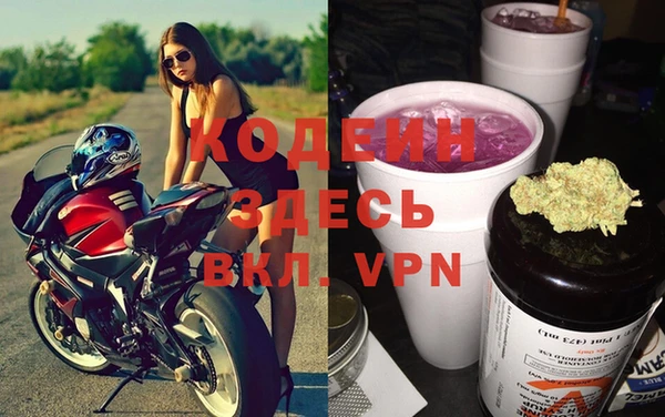 прущие грибы Абдулино