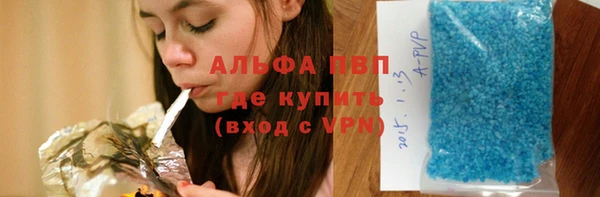 прущие грибы Абинск
