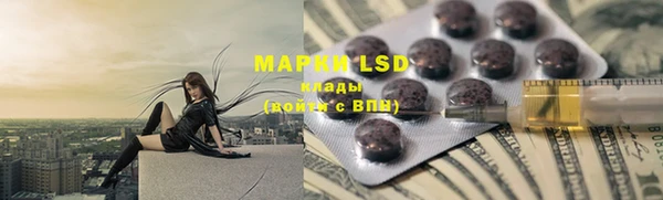 прущие грибы Абдулино