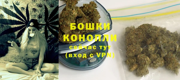 прущие грибы Абдулино