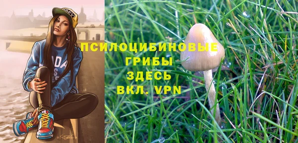 кристаллы Абаза